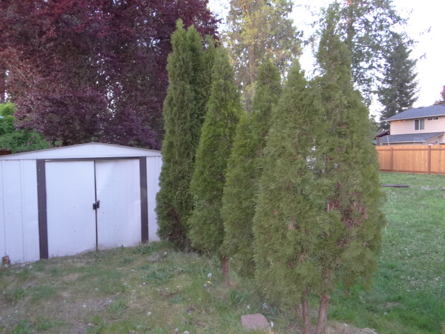 4603 132nd Pl NEMarysville, WA, 98271Snohomish County