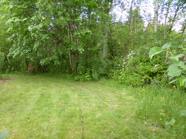 21410 164th Dr SEMonroe, WA, 98272Snohomis County County