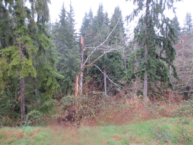 23401 104th St SEMonroe, WA, 98272Snohomish County