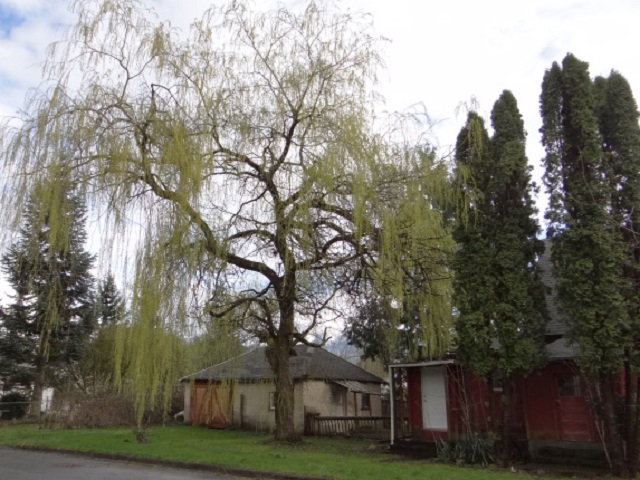 608 3rd StSultan, WA, 98294Snohomish County