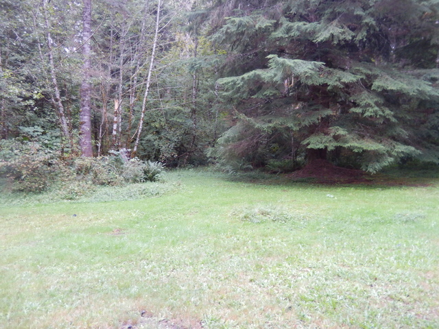 56407 383rd Ave Court EAshford, WA, 98304Pierce County
