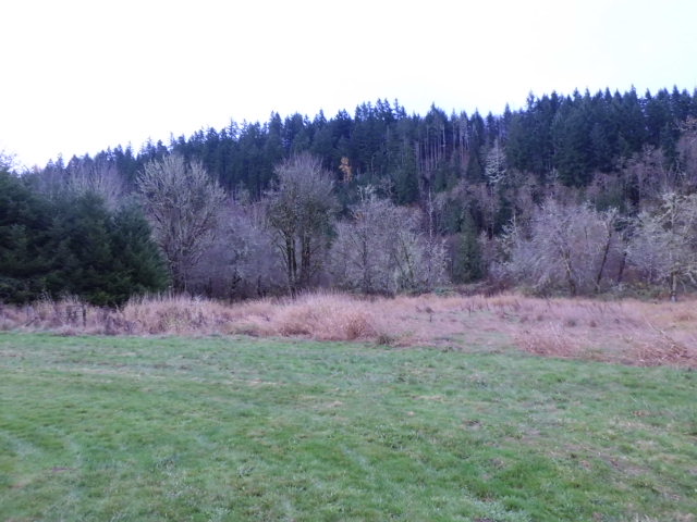 243 Waterloo RdGlenoma, WA, 98336Lewis County