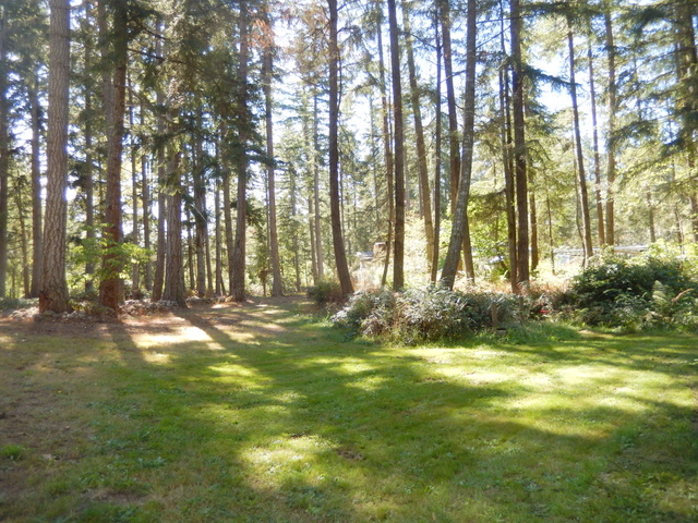 20208 Orting Kapowsin Hwy EGraham, WA, 98338Pierce County