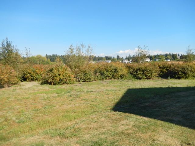 13522 221st St EGraham, WA, 98338Pierce County