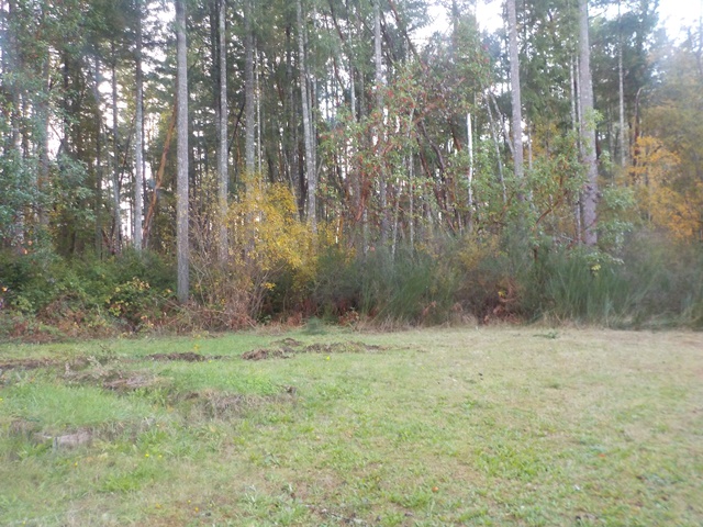 2508 205th Ave Kp SLakebay, WA, 98349Pierce County