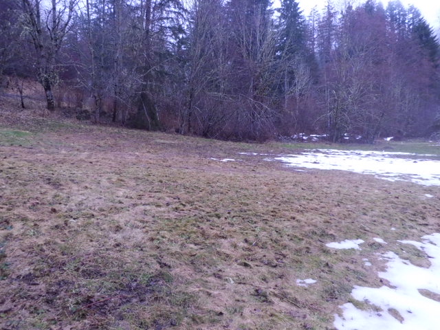 500 Oneil RdMorton, WA, 98356Lewis County
