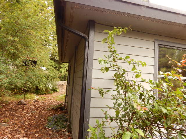 1924 S Pine StPort Angeles, WA, 98362Clallam County