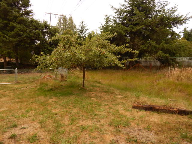 1924 S Pine StPort Angeles, WA, 98362Clallam County