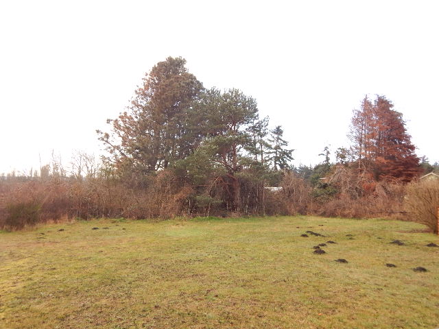 319 19th StreetPort Townsend, WA, 98368Jefferson County