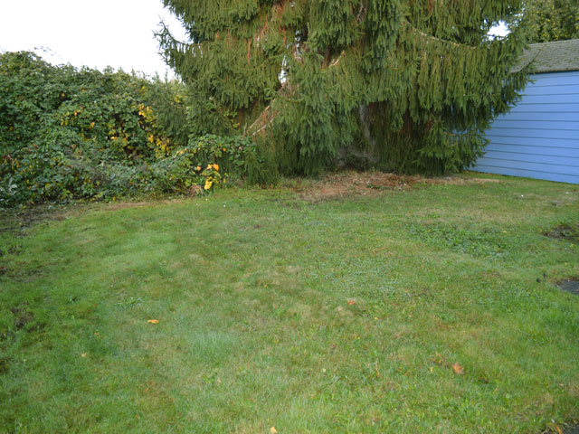 5506 109th Avenue Court EastPuyallup, WA, 98372Pierce County