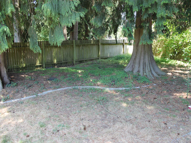16117 119th Ave EPuyallup, WA, 98374Pierce County