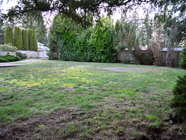 3407 228th Street CSpanaway, WA, 98387Pierce County