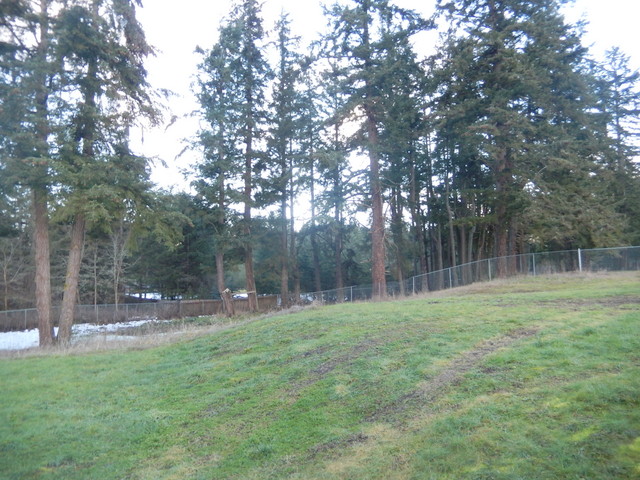 3519 221st St ESpanaway, WA, 98387Pierce County