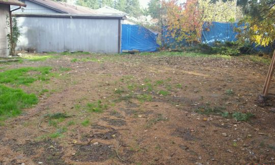 624 191st St Ct ESpanaway, WA, 98387Pierce County