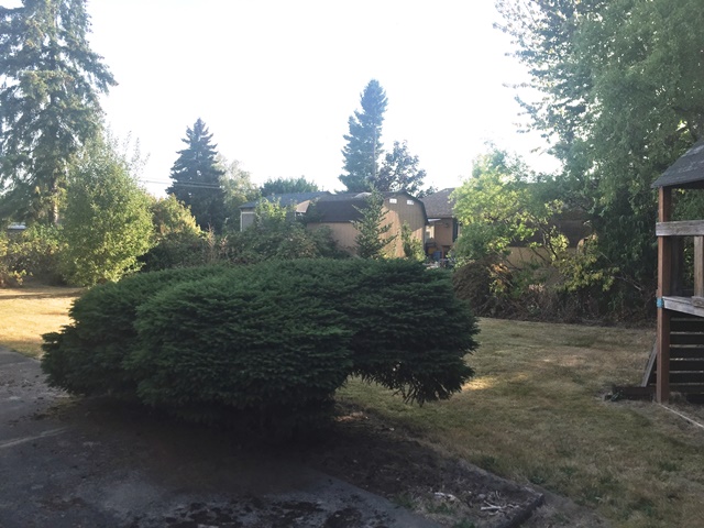4801 E L StTacoma, WA, 98404Pierce County