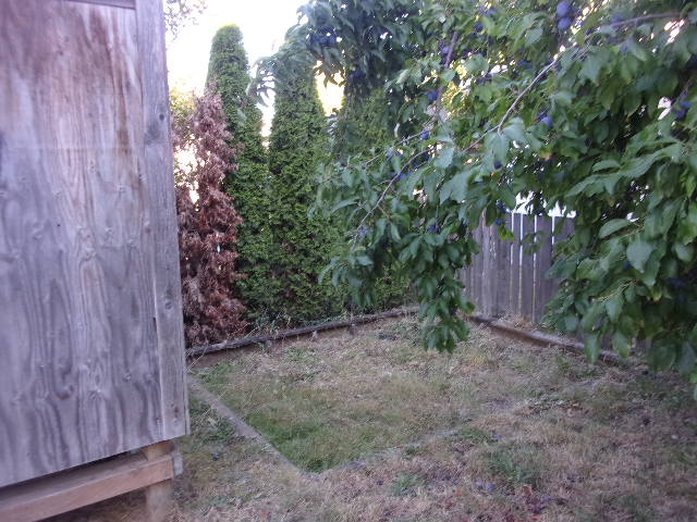 1701 South 23rd StreetTacoma, WA, 98405Pierce County