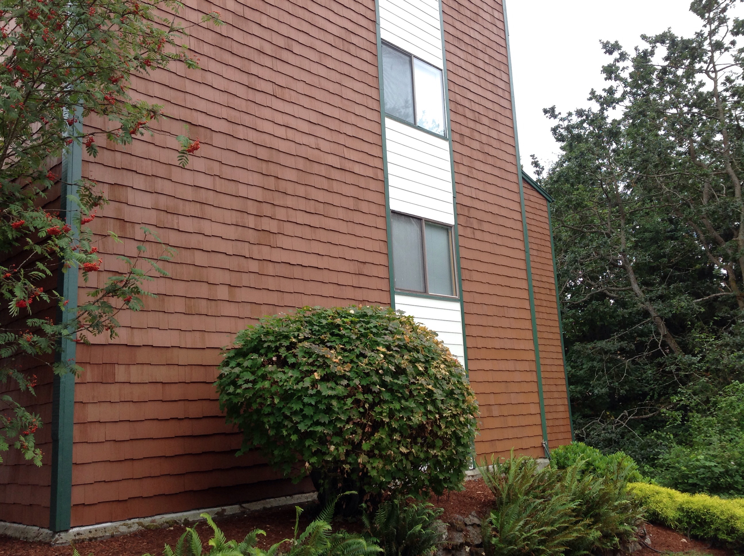 7322 N Skyview Lane #N203Tacoma, WA, 98406Pierce County