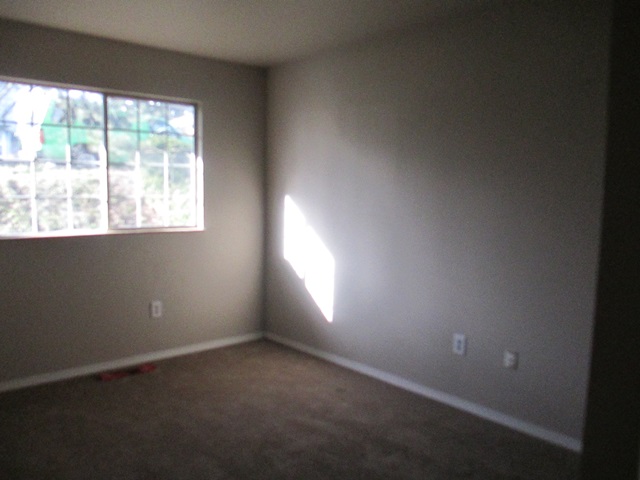 3101 58th Avenue NETacoma, WA, 98422Pierce County