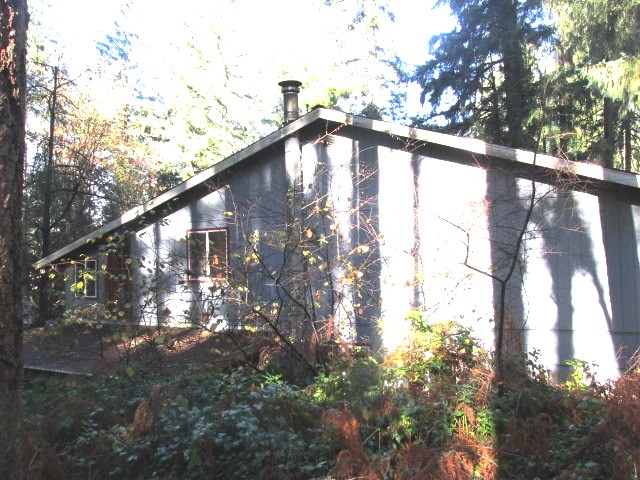 7032 Glen Terra Ct SELacey, WA, 98503Thurston County