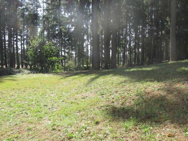 1311 Clover Loop SEOlympia, WA, 98513Thurston County