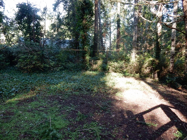 430 E Twanoh Falls DriveBelfair, WA, 98528Mason County