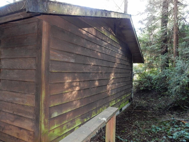 430 E Twanoh Falls DriveBelfair, WA, 98528Mason County