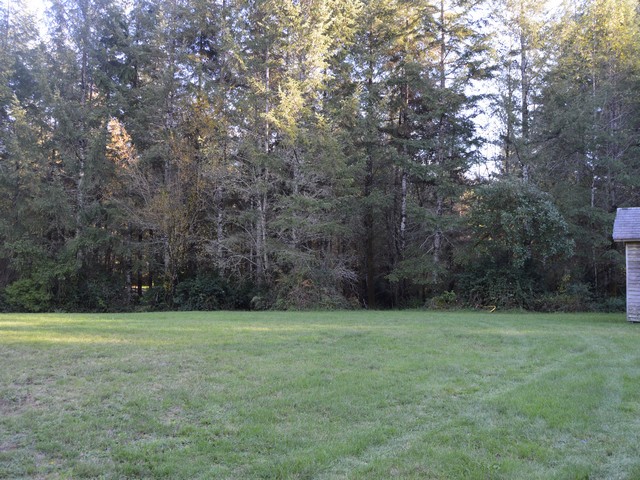 251 E Morris Creek DrBelfair, WA, 98528Mason County