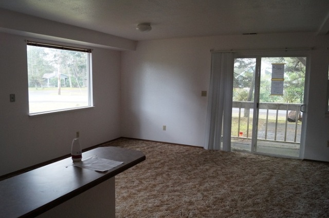 102 N Narwhal LoopOcean Shores, WA, 98569Grays Harbor County