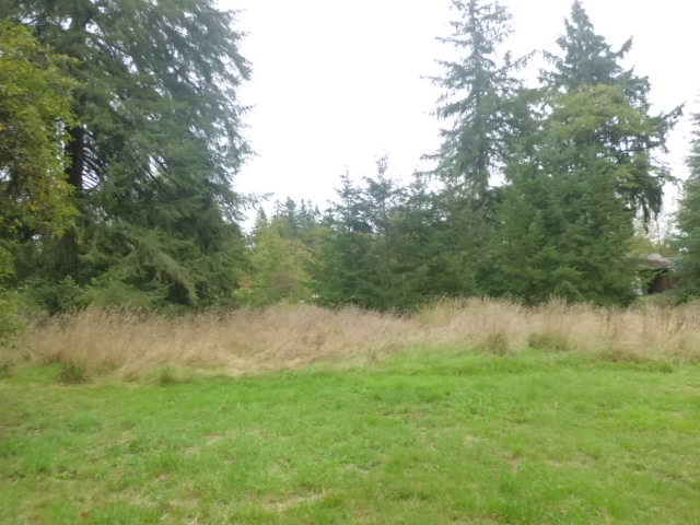 1884 State Highway 508Onalaska, WA, 98570Lewis County