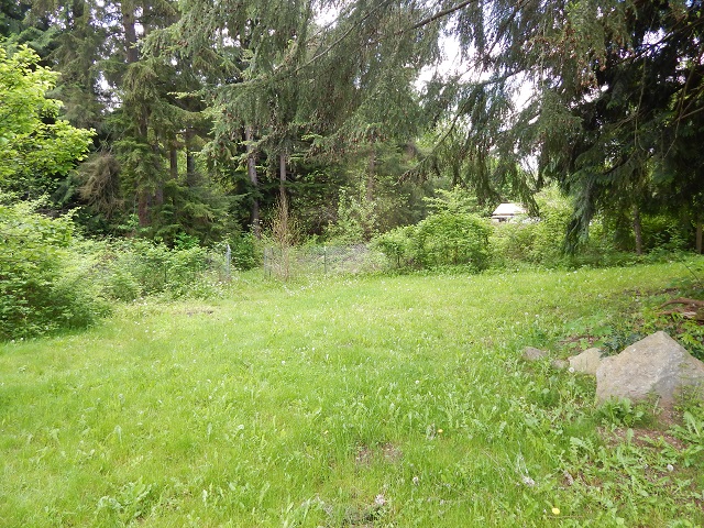 983 Tipsoo Loop SERainier, WA, 98576Thurston County