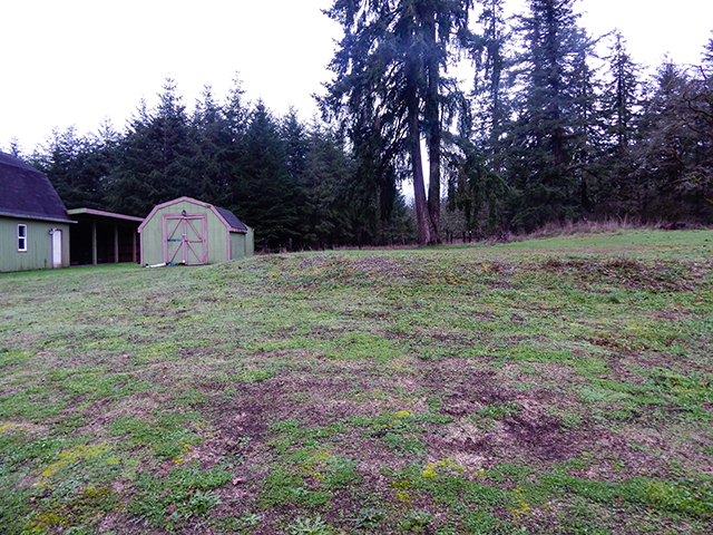 16919 Moon Rd SWRochester, WA, 98579Thurston County