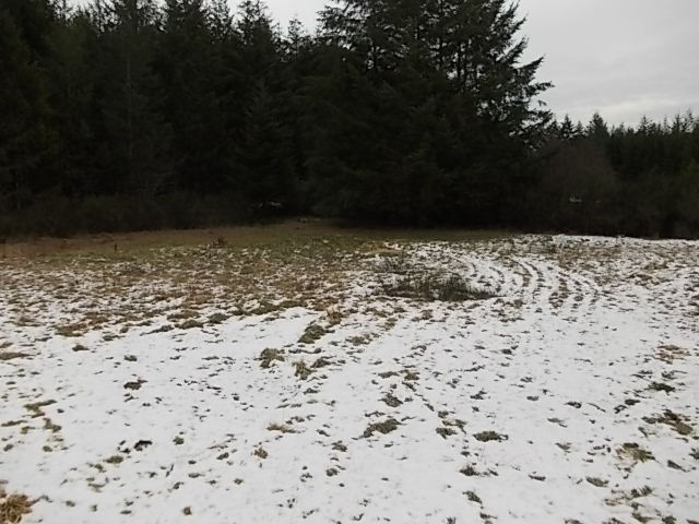 331e Frederick DrShelton, WA, 98584Mason County