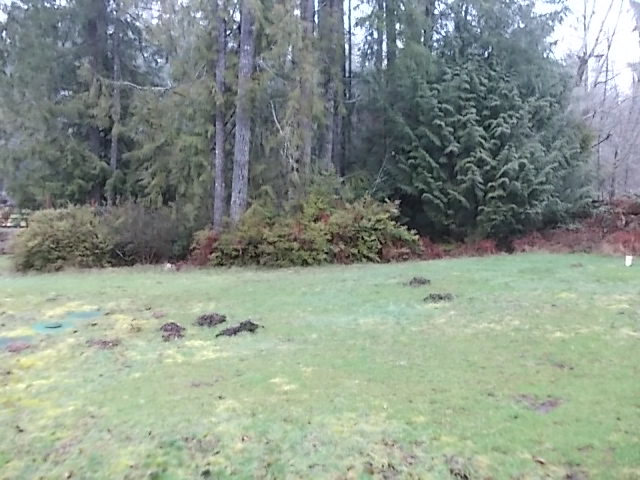 741 E Lakeshore DrShelton, WA, 98584Mason County