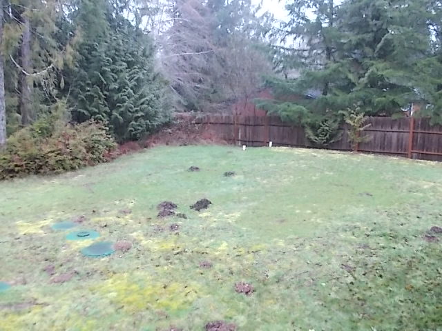 741 E Lakeshore DrShelton, WA, 98584Mason County