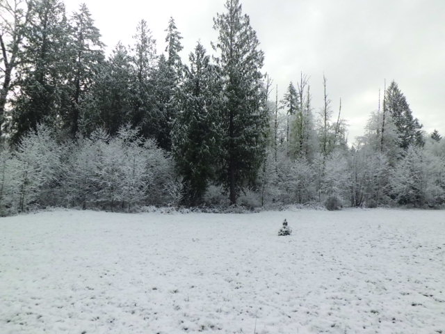 107 Otter Creek DrToledo, WA, 98591Lewis County
