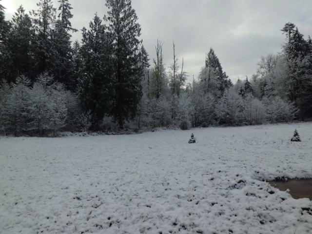 107 Otter Creek DrToledo, WA, 98591Lewis County