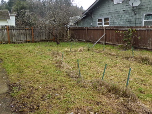 200 NW Washington StWinlock, WA, 98596Lewis County