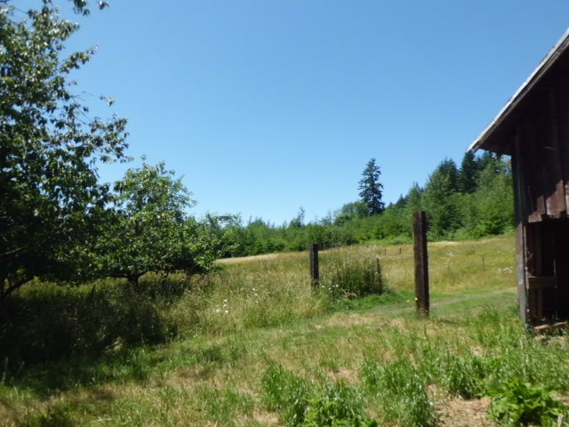 254 Sears RoadWinlock, WA, 98596Lewis County