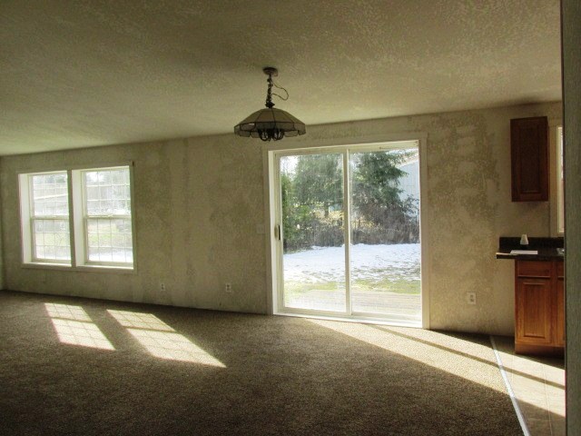 17533 110th Ave SEYelm, WA, 98597Thurston County