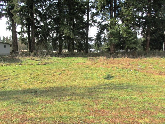 17533 110th Ave SEYelm, WA, 98597Thurston County