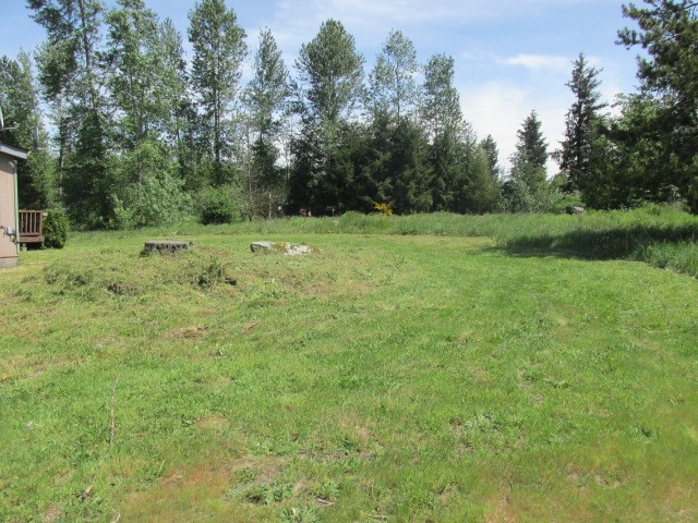 14410 Bald Hill Rd SEYelm, WA, 98597Thurston County