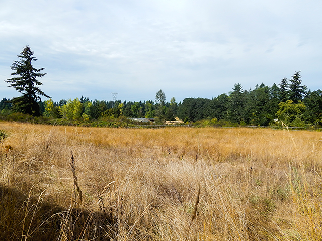 8939 Crystal Spring St NWYelm, WA, 98597Thurston County