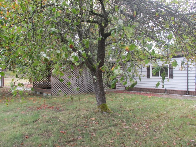 16300 Ordway Dr SEYelm, WA, 98597Thurston County