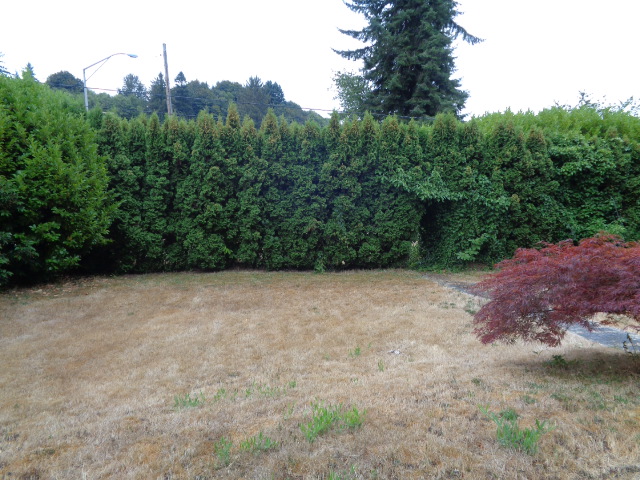 15 Greenwood RdCathlamet, WA, 98612Wahkiakum County