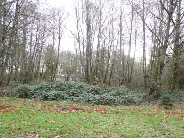 31315 NE 59th AveLa Center, WA, 98629Clark County