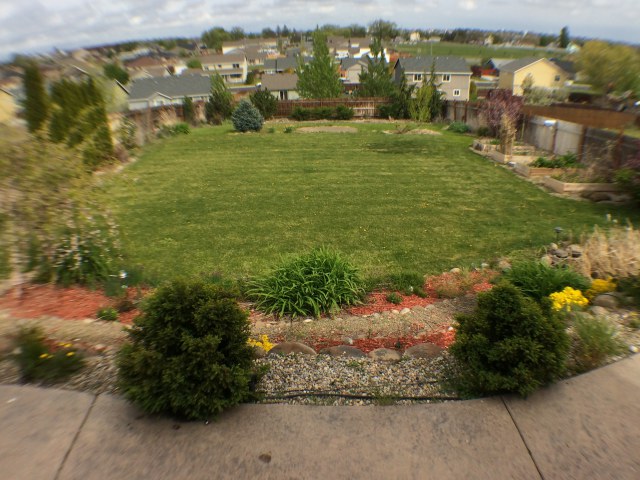 517 N Mississippi DrMoses Lake, WA, 98837Grant County