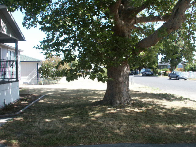 4312 Sun Dr NEMoses Lake, WA, 98837Grant County