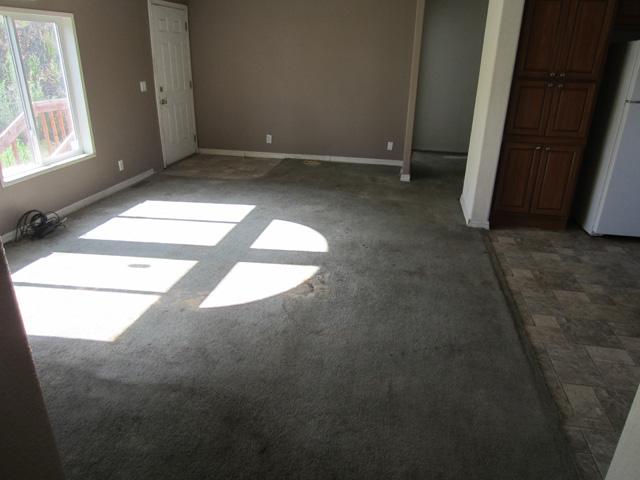3 Armitage Hill RdRiverside, WA, 98849Okanogan County