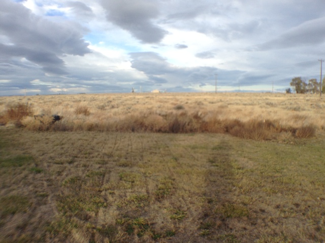 723 S JacksonWarden, WA, 98857Grant County