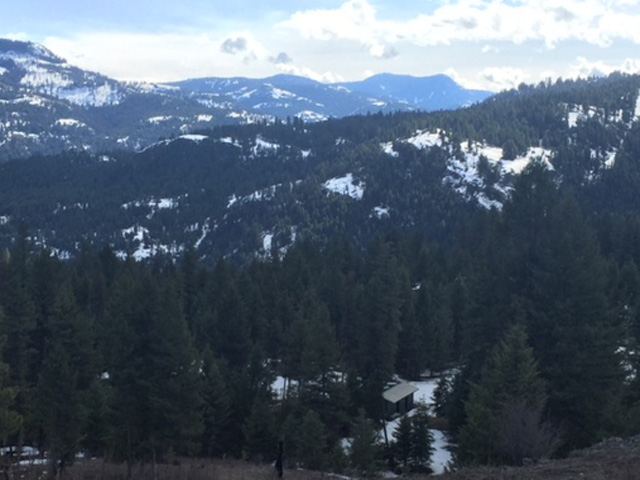 102 Two Horse RdWauconda, WA, 98859Okanogan County